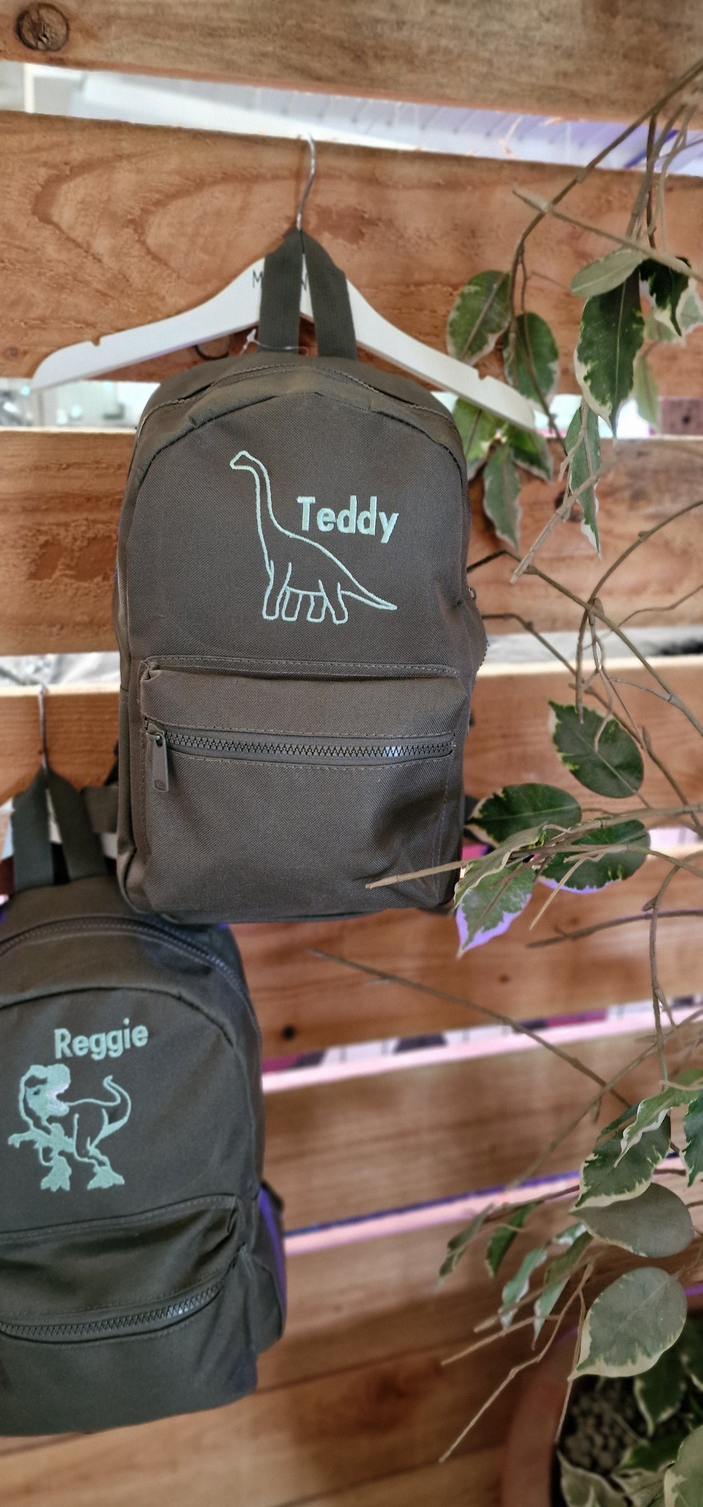 Kids Dinosaur Backpack