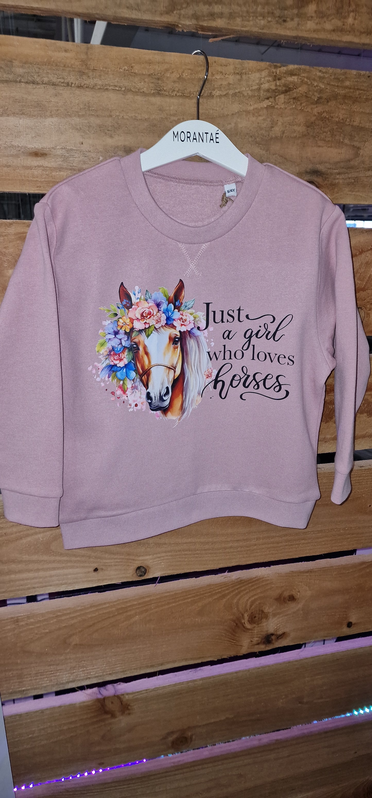 Just A Girl Who Loves Horses Jumper